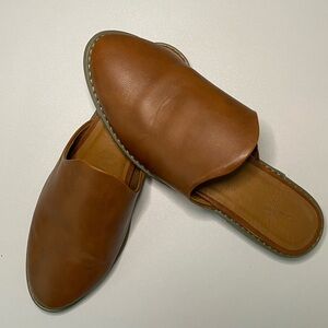 Universal Thread Brown Memory Foal Mule size 8